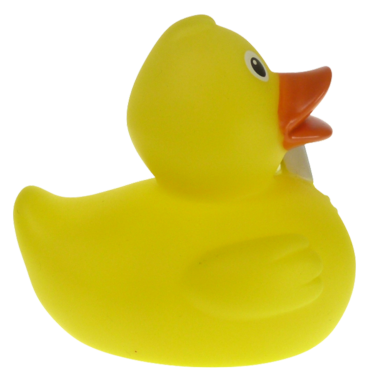 Badeente Infoente Badeenten